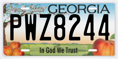 GA license plate PWZ8244