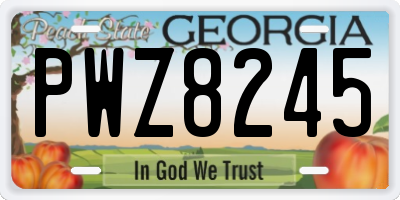 GA license plate PWZ8245