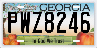 GA license plate PWZ8246