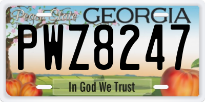 GA license plate PWZ8247