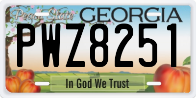 GA license plate PWZ8251