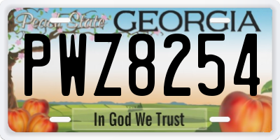 GA license plate PWZ8254