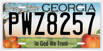 GA license plate PWZ8257