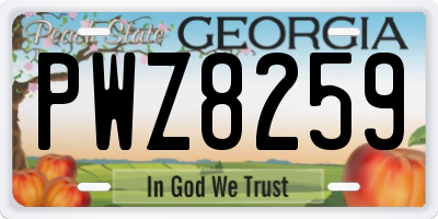GA license plate PWZ8259