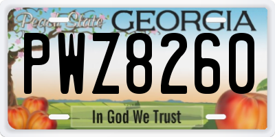 GA license plate PWZ8260