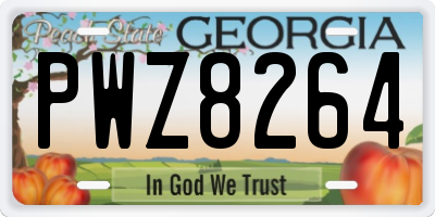 GA license plate PWZ8264