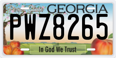 GA license plate PWZ8265
