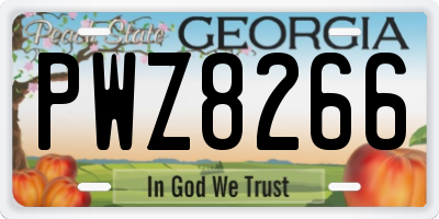 GA license plate PWZ8266
