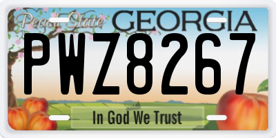 GA license plate PWZ8267