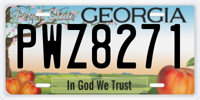 GA license plate PWZ8271