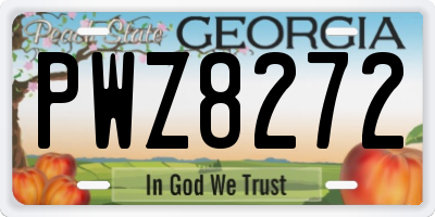 GA license plate PWZ8272