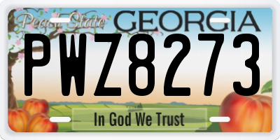 GA license plate PWZ8273
