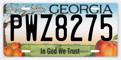 GA license plate PWZ8275