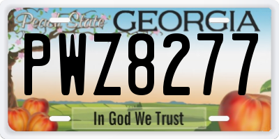 GA license plate PWZ8277