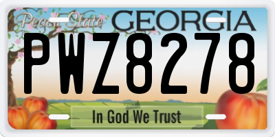 GA license plate PWZ8278