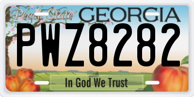 GA license plate PWZ8282