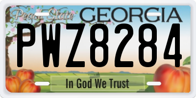 GA license plate PWZ8284
