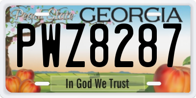 GA license plate PWZ8287