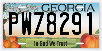 GA license plate PWZ8291