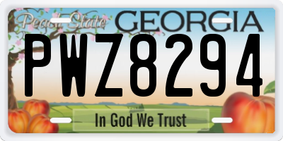 GA license plate PWZ8294
