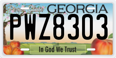 GA license plate PWZ8303