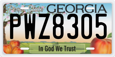GA license plate PWZ8305
