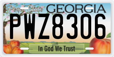 GA license plate PWZ8306
