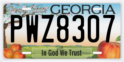 GA license plate PWZ8307