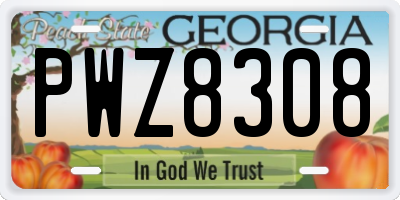 GA license plate PWZ8308