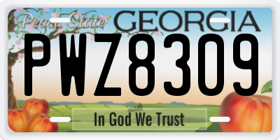 GA license plate PWZ8309
