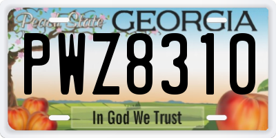 GA license plate PWZ8310