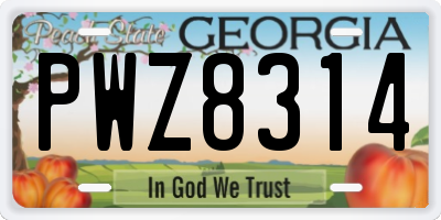 GA license plate PWZ8314