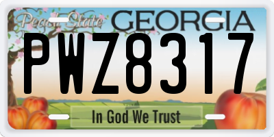 GA license plate PWZ8317