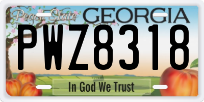 GA license plate PWZ8318