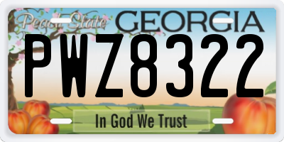 GA license plate PWZ8322