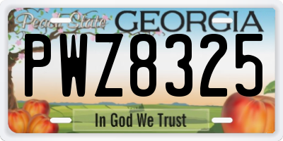 GA license plate PWZ8325