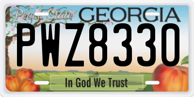 GA license plate PWZ8330