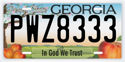GA license plate PWZ8333