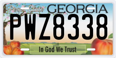 GA license plate PWZ8338