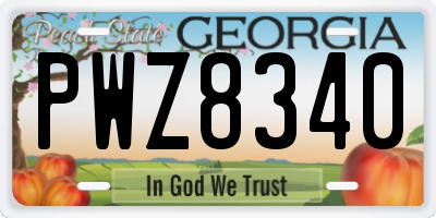 GA license plate PWZ8340