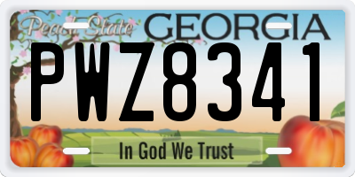 GA license plate PWZ8341