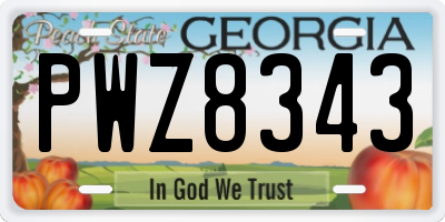 GA license plate PWZ8343