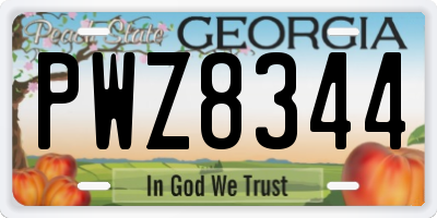 GA license plate PWZ8344