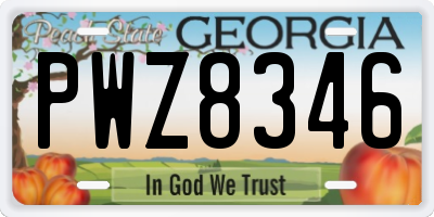 GA license plate PWZ8346