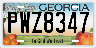 GA license plate PWZ8347