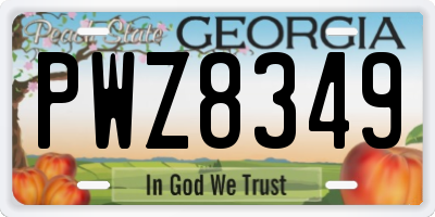 GA license plate PWZ8349