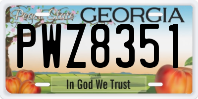 GA license plate PWZ8351