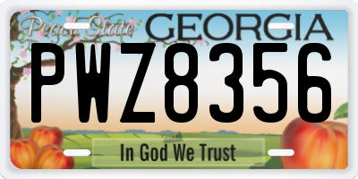 GA license plate PWZ8356