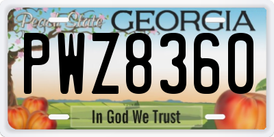 GA license plate PWZ8360