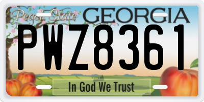 GA license plate PWZ8361